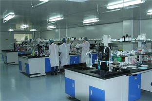 天雅酵素原液贴牌加工 专业赋能，助您打造高品质酵素产品